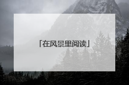 在风景里阅读