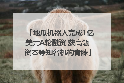 地瓜机器人完成1亿美元A轮融资 获高瓴资本等知名机构青睐