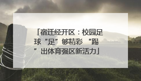 宿迁经开区：校园足球“足”够精彩 “踢”出体育强区新活力