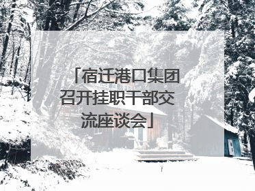宿迁港口集团召开挂职干部交流座谈会