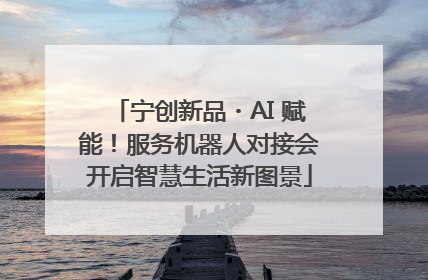 宁创新品・AI 赋能！服务机器人对接会开启智慧生活新图景