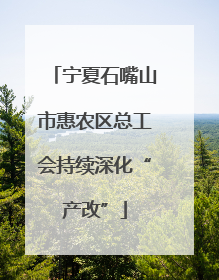 宁夏石嘴山市惠农区总工会持续深化“产改”