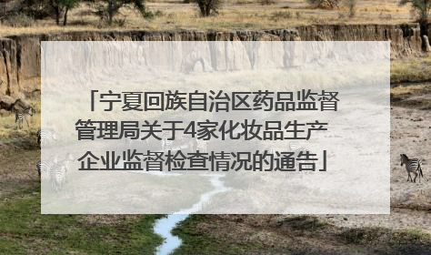 宁夏回族自治区药品监督管理局关于4家化妆品生产企业监督检查情况的通告