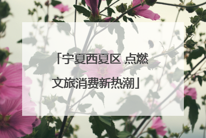 宁夏西夏区 点燃文旅消费新热潮