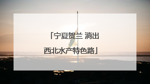 宁夏贺兰 淌出西北水产特色路