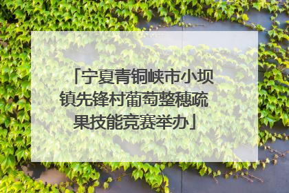 宁夏青铜峡市小坝镇先锋村葡萄整穗疏果技能竞赛举办