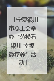 宁夏银川市总工会举办“劳模看银川 幸福微疗养”活动