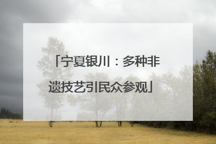 宁夏银川：多种非遗技艺引民众参观
