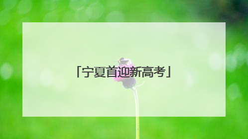 宁夏首迎新高考