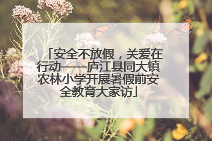 安全不放假，关爱在行动——庐江县同大镇农林小学开展暑假前安全教育大家访
