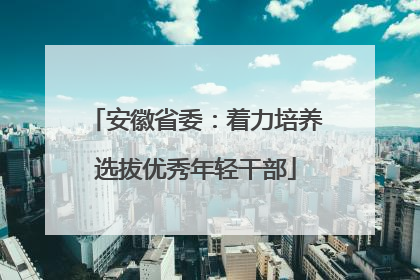 安徽省委：着力培养选拔优秀年轻干部