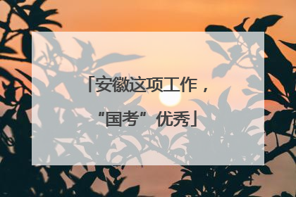安徽这项工作，“国考”优秀