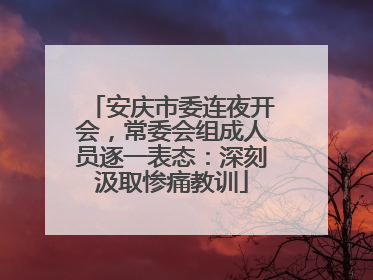 安庆市委连夜开会，常委会组成人员逐一表态：深刻汲取惨痛教训