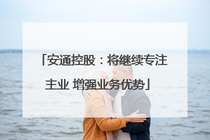 安通控股：将继续专注主业 增强业务优势