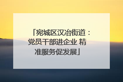 宛城区汉冶街道：党员干部进企业 精准服务促发展