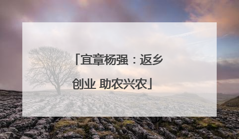 宜章杨强：返乡创业 助农兴农