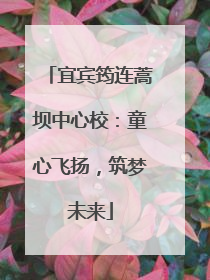 宜宾筠连蒿坝中心校：童心飞扬，筑梦未来