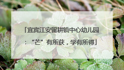 宜宾江安留耕镇中心幼儿园：“芒”有所获，学有所得
