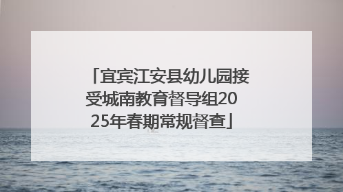 宜宾江安县幼儿园接受城南教育督导组2025年春期常规督查