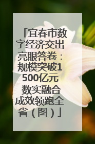 宜春市数字经济交出亮眼答卷：规模突破1500亿元 数实融合成效领跑全省（图）