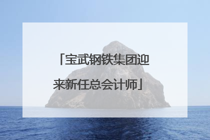 宝武钢铁集团迎来新任总会计师