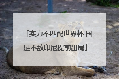 实力不匹配世界杯 国足不敌印尼提前出局