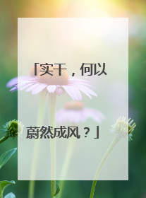 实干，何以蔚然成风？