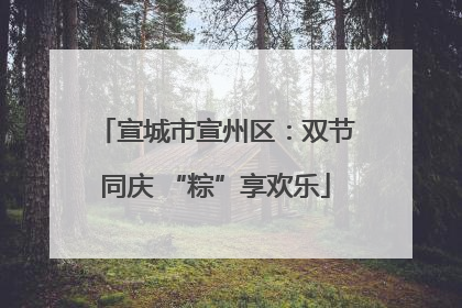 宣城市宣州区：双节同庆 “粽”享欢乐