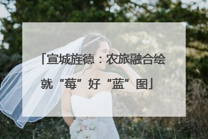 宣城旌德：农旅融合绘就“莓”好“蓝”图