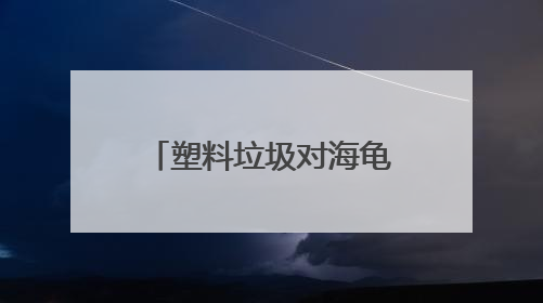 塑料垃圾对海龟有何致命伤害？世界环境日，走进开普敦海洋馆