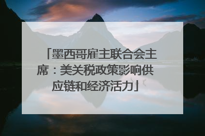 墨西哥雇主联合会主席：美关税政策影响供应链和经济活力