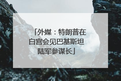外媒：特朗普在白宫会见巴基斯坦陆军参谋长