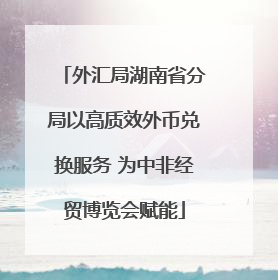 外汇局湖南省分局以高质效外币兑换服务 为中非经贸博览会赋能