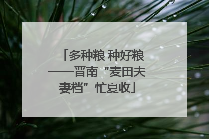 多种粮 种好粮——晋南“麦田夫妻档”忙夏收
