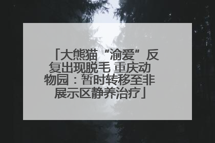 大熊猫“渝爱”反复出现脱毛 重庆动物园：暂时转移至非展示区静养治疗
