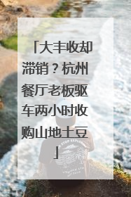 大丰收却滞销？杭州餐厅老板驱车两小时收购山地土豆