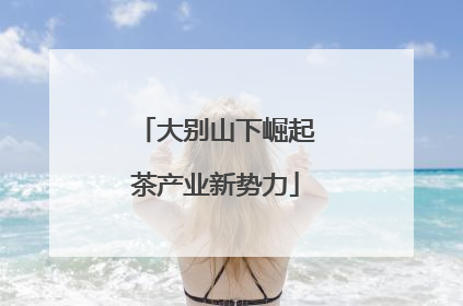 大别山下崛起茶产业新势力