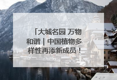 大城名园 万物和谐｜中国植物多样性再添新成员！它只在西藏墨脱