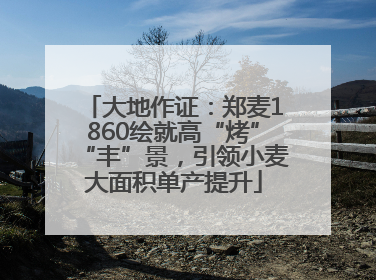 大地作证：郑麦1860绘就高“烤”“丰”景，引领小麦大面积单产提升
