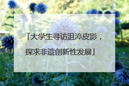 大学生寻访沮漳皮影，探求非遗创新性发展