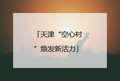 天津“空心村”焕发新活力