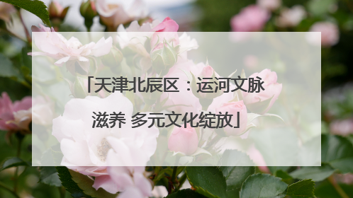 天津北辰区：运河文脉滋养 多元文化绽放