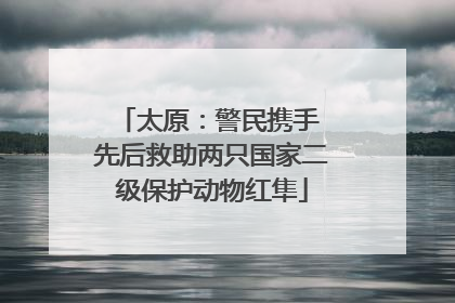 太原：警民携手 先后救助两只国家二级保护动物红隼
