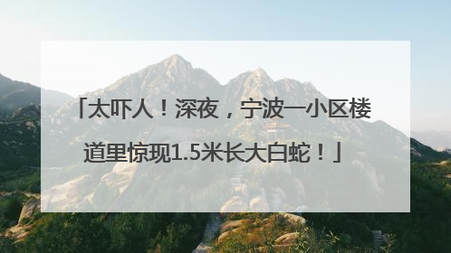 太吓人！深夜，宁波一小区楼道里惊现1.5米长大白蛇！