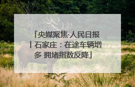 央媒聚焦·人民日报丨石家庄：在途车辆增多 拥堵指数反降