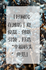 好网民·在潍坊｜夏俊磊：创新引领，打造“幸福码头”典范