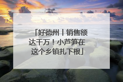 好德州丨销售额达千万！小芦笋在这个乡镇扎下根