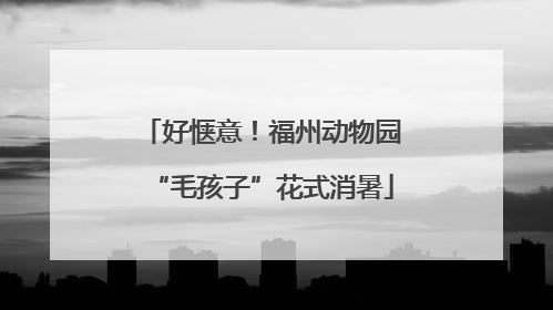 好惬意！福州动物园“毛孩子”花式消暑