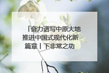 奋力谱写中原大地推进中国式现代化新篇章丨下非常之功 战非常“三夏”