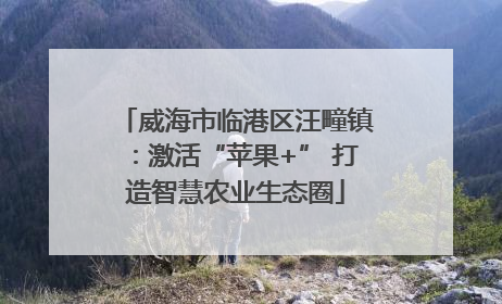 威海市临港区汪疃镇：激活“苹果+” 打造智慧农业生态圈